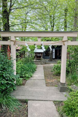 金山神社の鳥居