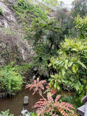 大綱金刀比羅神社の龍神池
