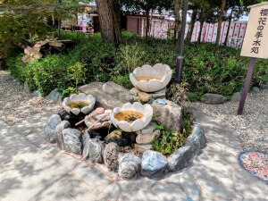 櫻花の手水処