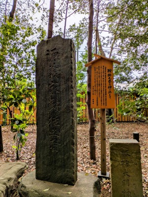 駒木諏訪神社「鞍掛けの松」