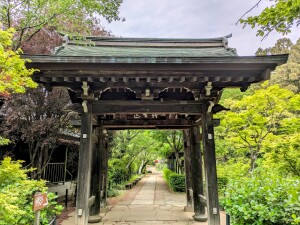 長谷山 本土寺「瑞鳳門」