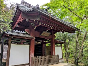 長谷山 本土寺「赤門」