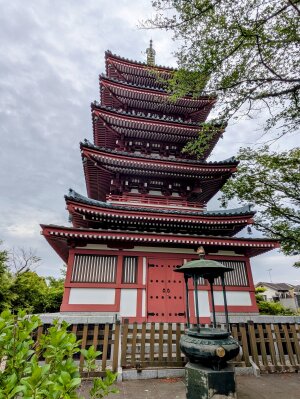 本土寺「五重塔」