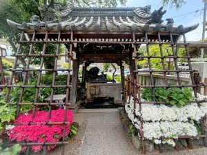 白山神社の「手水舎」